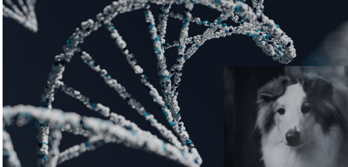 Projeto Genoma – Parte 2
